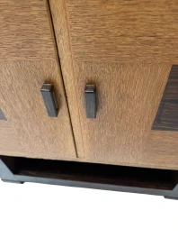 Art Deco Modernist Cabinet by 't Woonhuys Amsterdam, 1920s